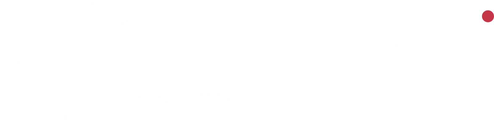 SoD Detect — BC SUPPORT · Consultoría & Soporte SAP